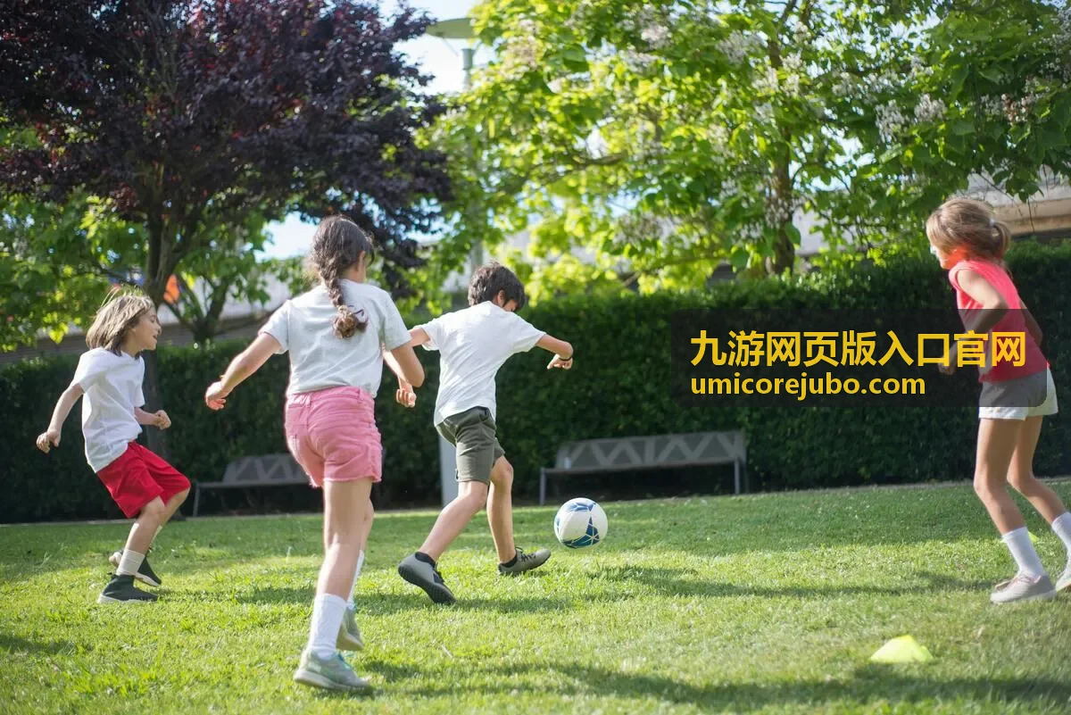 九游网页版入口官网的网页端打开步骤配图